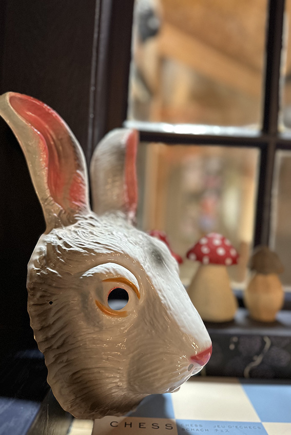 La Forêt d'Alice au Bazar de Bellême.