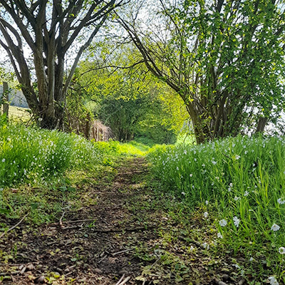 une adresse à la campagne pour se couper du monde.