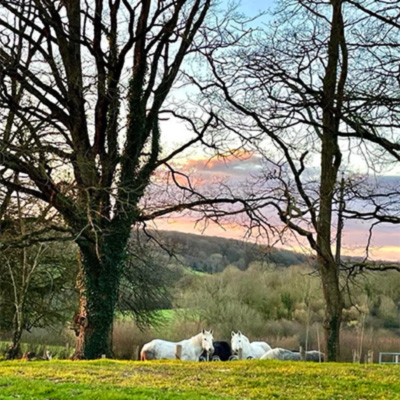 Une maison d'hôte du côté de Perche-En-Nocé dans la charmante région du Perche en Normandie.