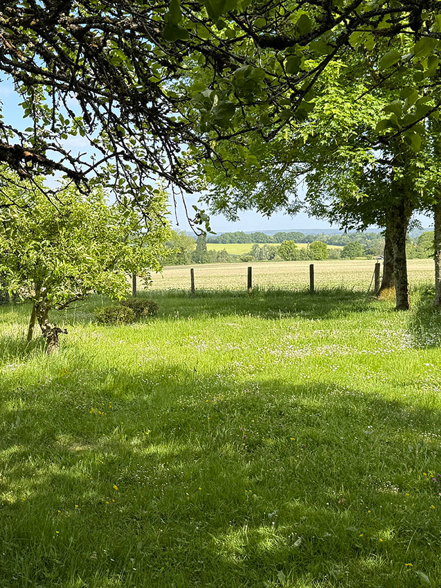 Maison en pierres située entre Bellême et Le Mêle-sur-Sarthe, en pleine campagne percheronne, au bout d’un chemin privé, sans vis-à-vis, sur un terrain arboré de 2 900 m² avec mare naturelle.